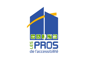 les-pros-de-accesibilite-test